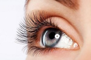 Có nên học nối mi không, học nối mi cơ bản có khó không, học trong bao lâu thì ra nghề?